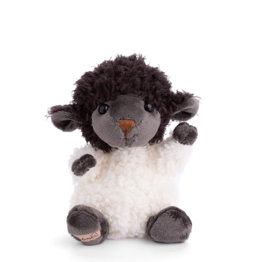 Black sheep
