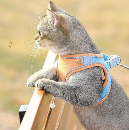 üêï One Piece Pet Vest Leash ‚Äì Adjustable & breathable mesh