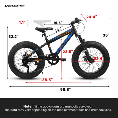 20" Fat Tire Mountain Bike | Full Shimano 7-Speed, Dual Disc Brakes & Front Suspension