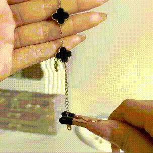 üî•Bracelet Clasp Helper Tools