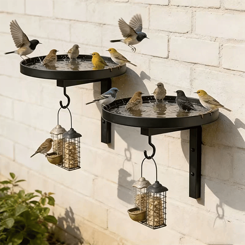 üì¢üì¢40% OFF !!!‚è∞Wall-Mounted Metal Bird Bath ‚Äì Antique Bronze Finish üê¶üõÅüß±üè°