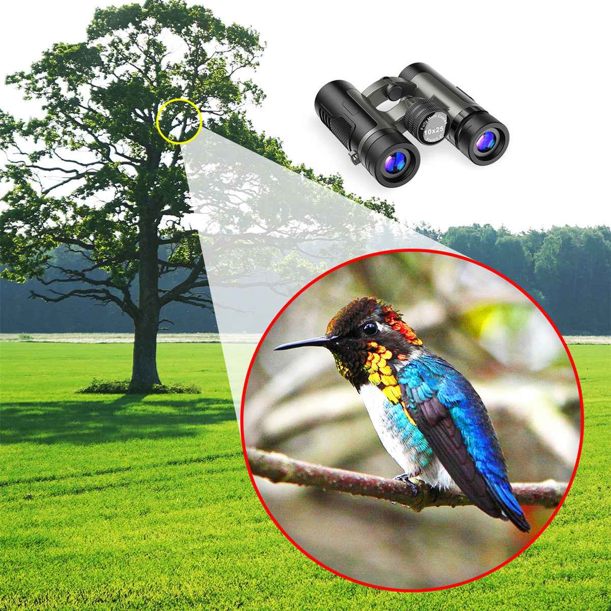 10x25 HD Compact Binoculars – Lightweight Outdoor Telescope for Hiking, Fishing & Travel