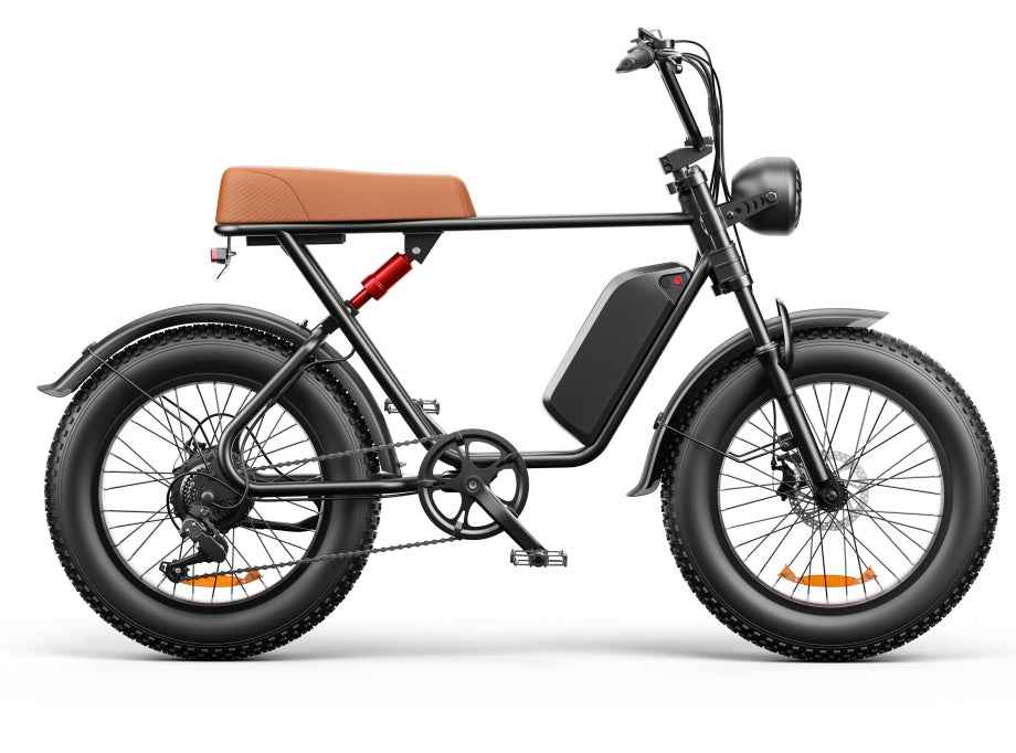 20" Fat Tire Electric Bike | 48V 1000W, 20Ah Battery, 55-70KM Range