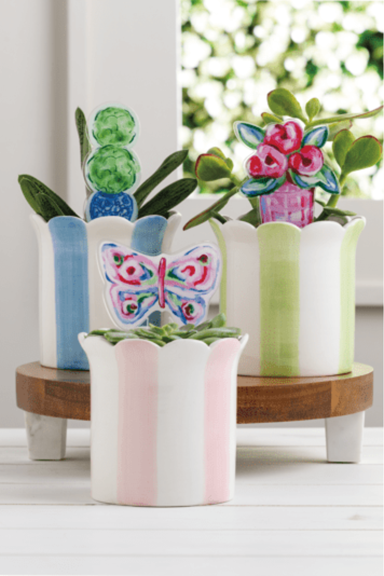 Butterfly Striped Pot & Plant Stake Set