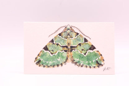 Green Carpet (0848)