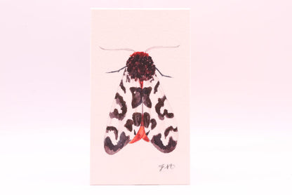 Garden Tiger (0847)