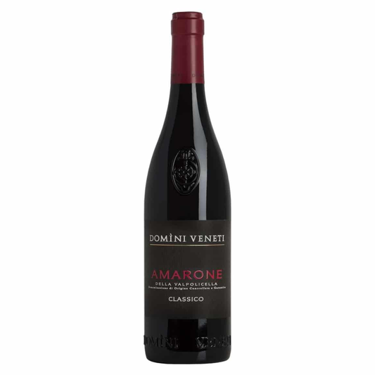 Amarone wine bottle with dark glass, red cap, and Domini Veneti label