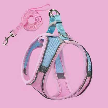 üî•Cat Harness & Leashüò∫‚ú®
