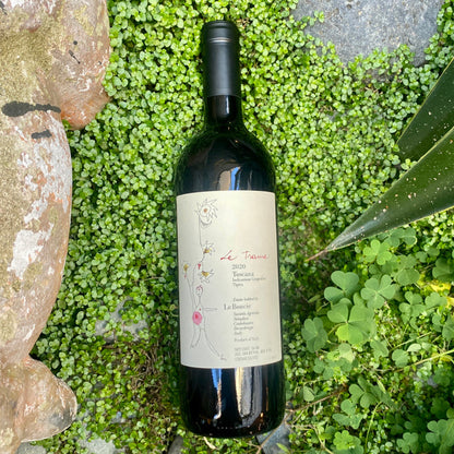 Le Boncie Rosso di Toscana 2023 red wine bottle, dark glass with label facing up