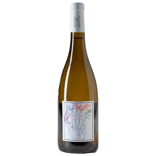 Marco Tinessa wine bottle with white label and colorful line artwork, amber glass.