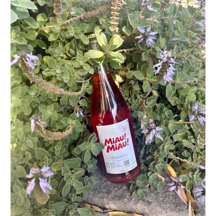Sparkling wine bottle with Miau! label, Pranzegg Frizzante 2025
