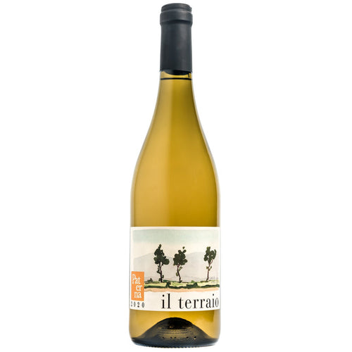 Paterna Il Terraio Bianco 2022 white wine bottle, white label, dark cap